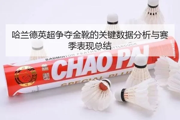 哈兰德英超争夺金靴的关键数据分析与赛季表现总结