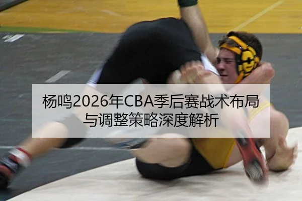 杨鸣2026年CBA季后赛战术布局与调整策略深度解析