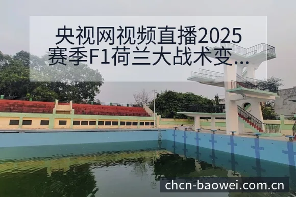 央视网视频直播2025赛季F1荷兰大战术变化与风险点数据 - 宝威